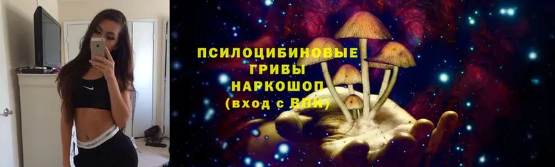 Псилоцибиновые грибы Psilocybe  MEGA ТОР  Орехово-Зуево 